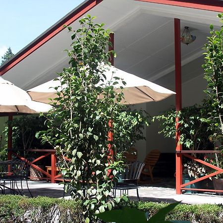 Cielito Sur Bed & Breakfast Inn Cerro Punta Exterior foto