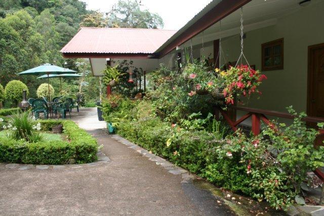 Cielito Sur Bed & Breakfast Inn Cerro Punta Exterior foto